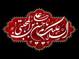 سیره زندگی امام حسن مجتبی (بخش دوم)
